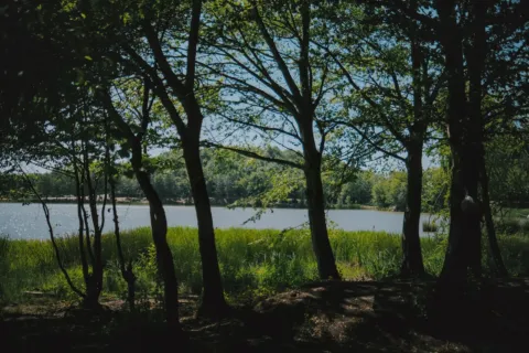 Pemandangan indah tempat wisata alam untuk healing dengan pepohonan hijau dan danau tenang