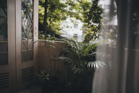 Cara menata balkon rumah minimalis dengan tanaman hias dan furnitur outdoor aesthetic